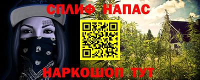 наркотики Пугачёв