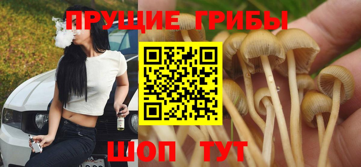 как найти   Галлюциногенные грибы MAGIC MUSHROOMS  Вход с VPN  Реж 